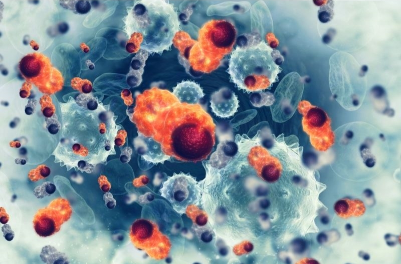 がん細胞画像
