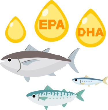 青魚と魚油の栄養素のイメージ