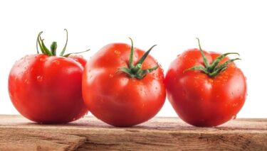 ＜初夏･夏＞【トマト栄養術】2022年酷暑対処術-超抗酸化力「リコピン」