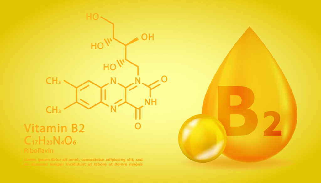 ビタミンB2吸収促進法
