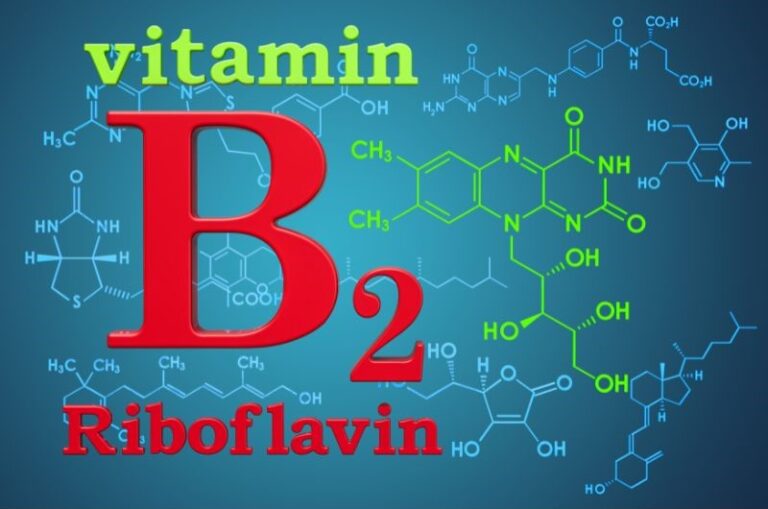 ビタミンB2画像